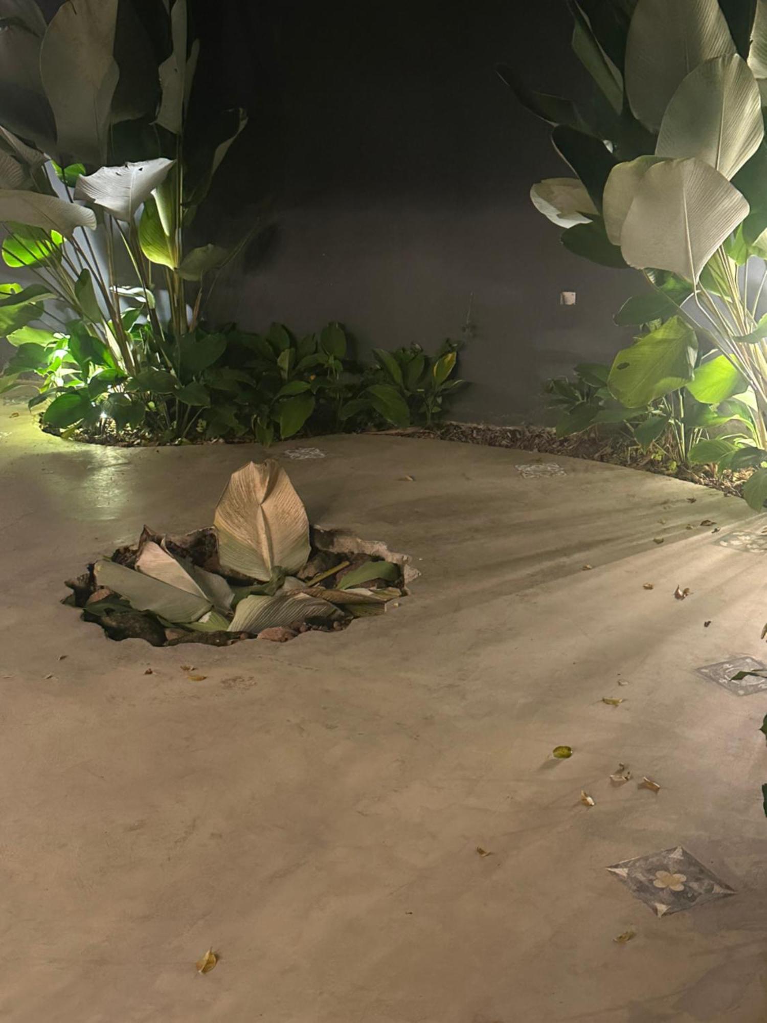 Casa Terrea Com Acessibilidade Em Juquehy Com Piscina Climatizada E Hidromassagem * Juquei
