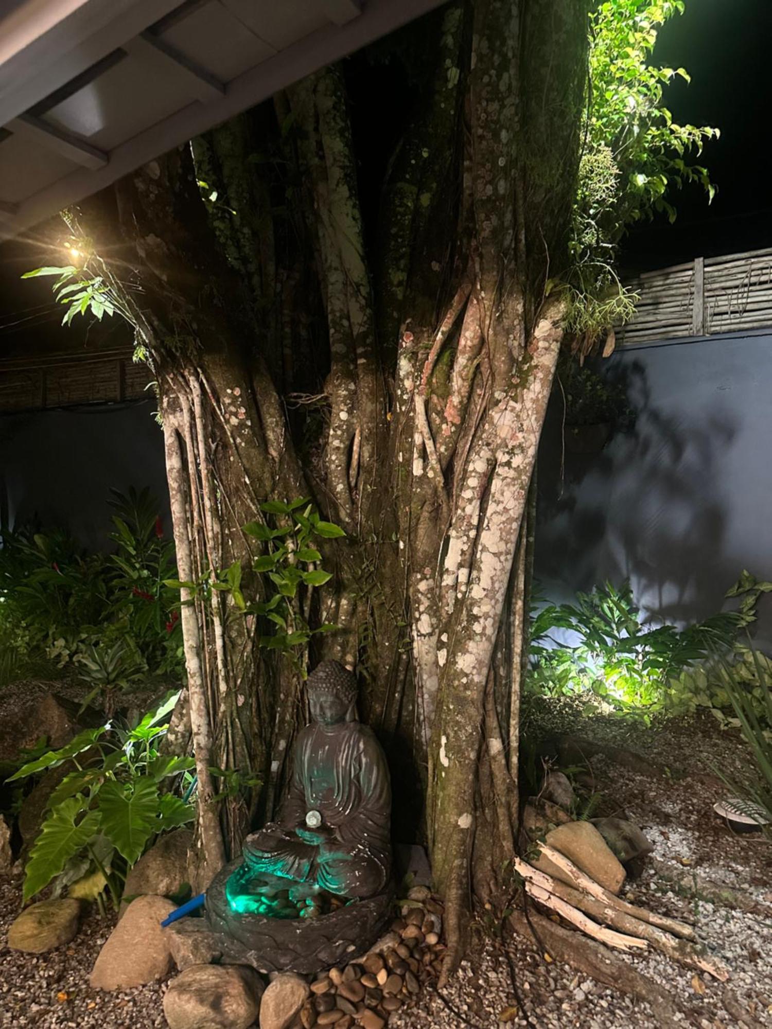 Casa Terrea Com Acessibilidade Em Juquehy Com Piscina Climatizada E Hidromassagem